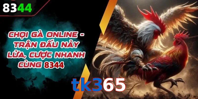 Đá gà tk365 có rất nhiều ưu điểm vượt trội so với sân chơi khác
